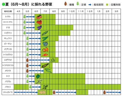 時種|種まきカレンダー (家庭菜園用)：70種類の人気野菜を。